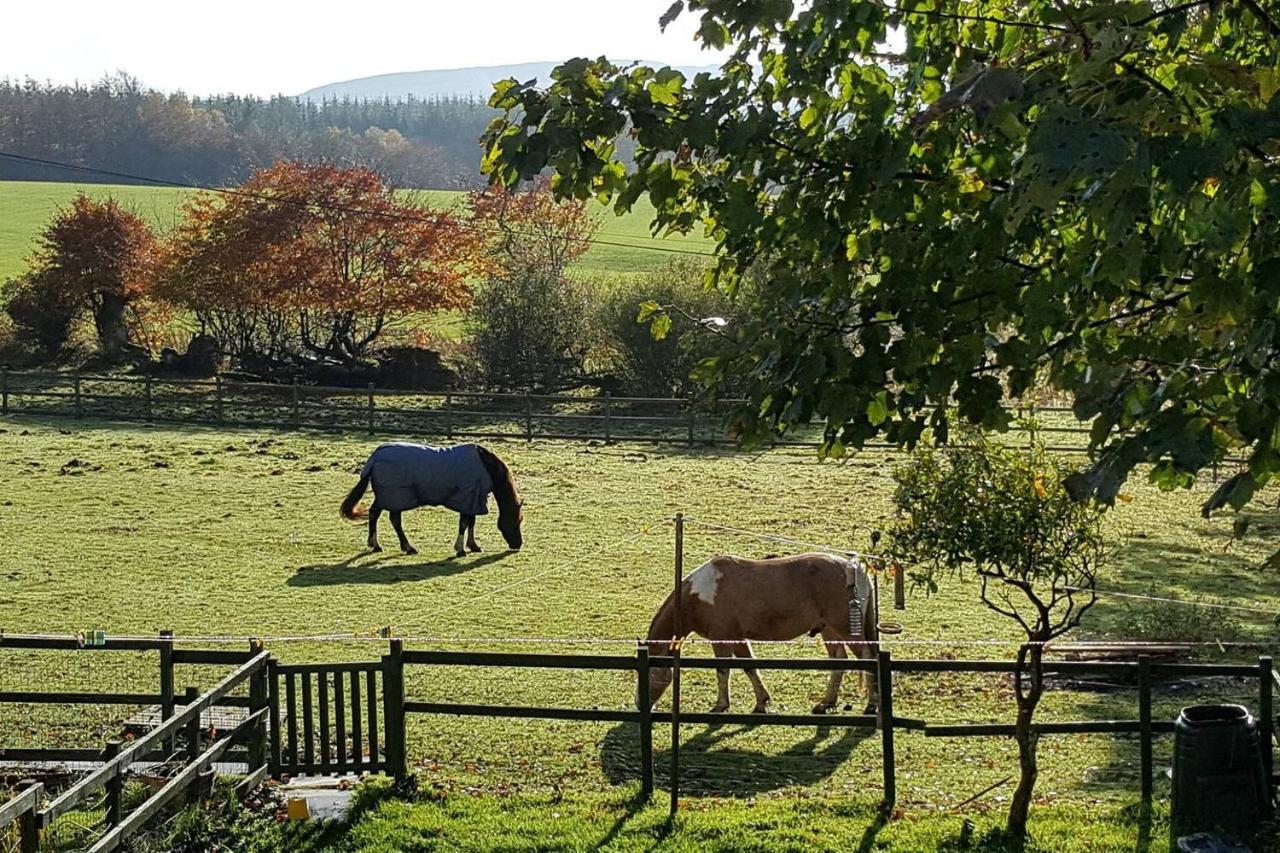 Stuc An T Sagairt Cottage , Loch Lomond Drymen Εξωτερικό φωτογραφία